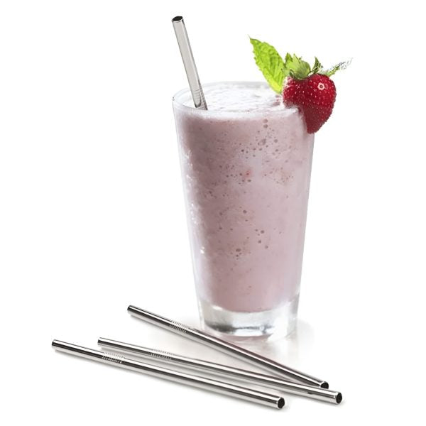 EcoSip Set: 4 Reusable Stainless Steel Straws with Brush